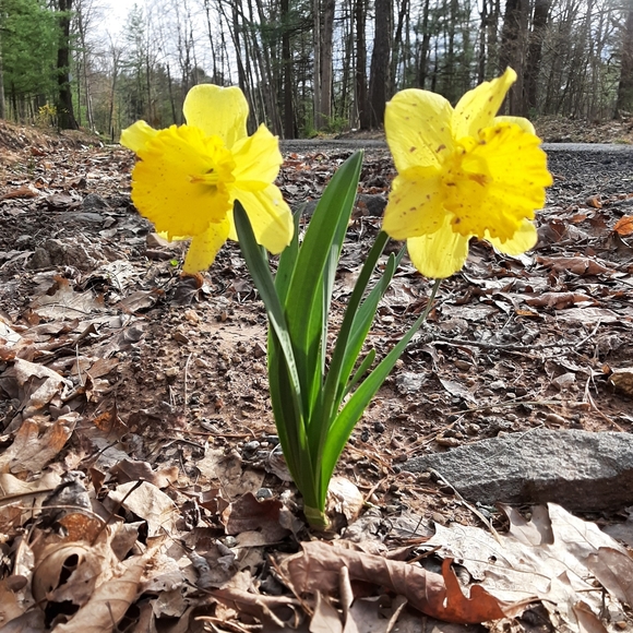 Kindness and Consideration - Picture 2 of 11